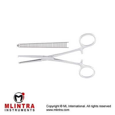 Kocher Haemostatic Forcep Straight - 1 x 2 Teeth Stainless Steel, 15 cm - 6" 
